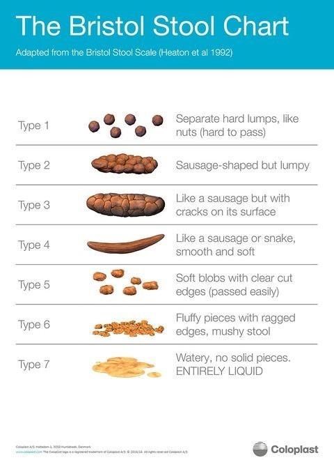 bristol Stool Chart